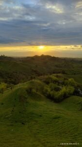 whatsapp image 2025 02 13 at 12.38.31 pm (2)